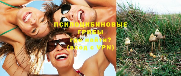прущие грибы Алексин